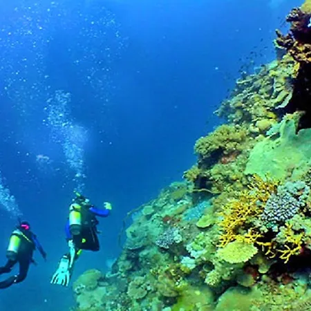 Luxury Wstunning Sea Views, Walk Gale Lejlighed Albufeira